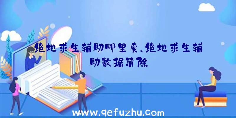 绝地求生辅助哪里卖、绝地求生辅助数据清除