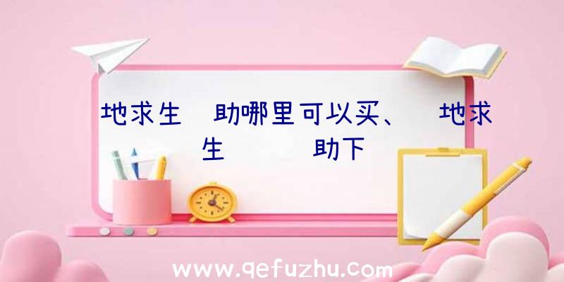 绝地求生辅助哪里可以买、绝地求生轩辕辅助下载