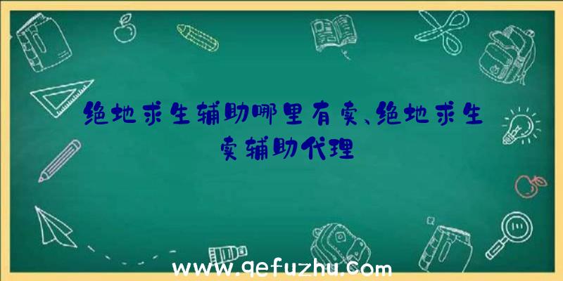 绝地求生辅助哪里有卖、绝地求生卖辅助代理