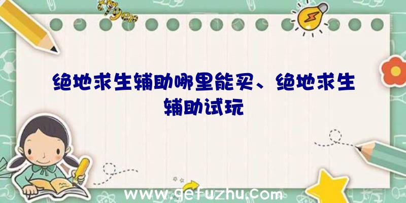 绝地求生辅助哪里能买、绝地求生辅助试玩