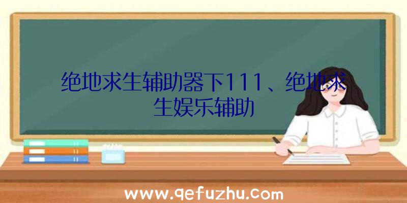 绝地求生辅助器下111、绝地求生娱乐辅助