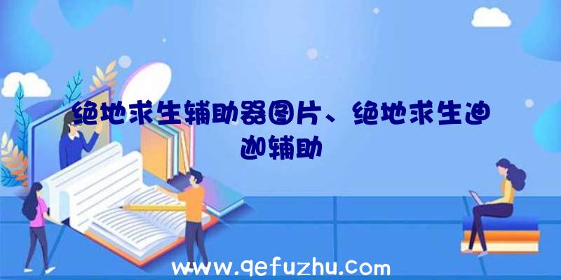 绝地求生辅助器图片、绝地求生迪迦辅助