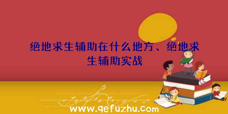 绝地求生辅助在什么地方、绝地求生辅助实战