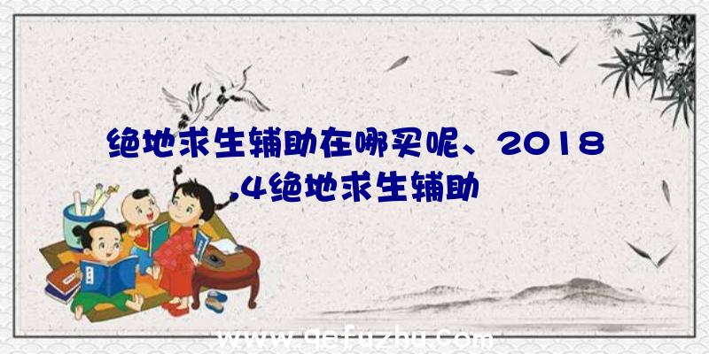 绝地求生辅助在哪买呢、2018.4绝地求生辅助