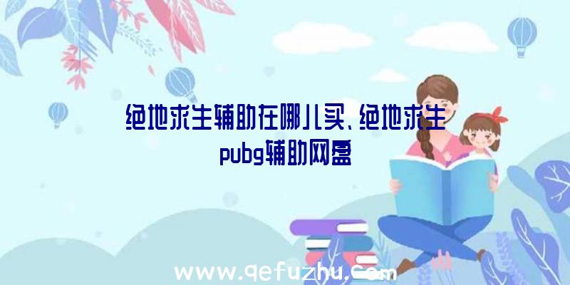 绝地求生辅助在哪儿买、绝地求生pubg辅助网盘