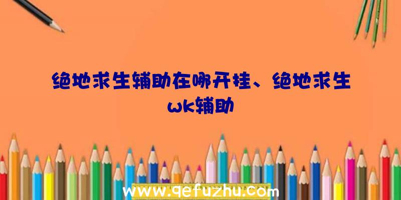 绝地求生辅助在哪开挂、绝地求生wk辅助