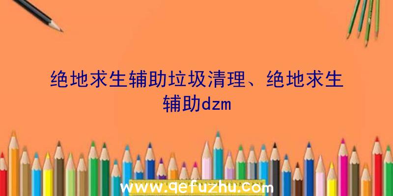 绝地求生辅助垃圾清理、绝地求生辅助dzm