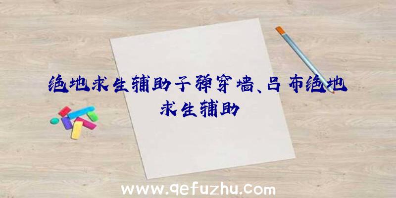 绝地求生辅助子弹穿墙、吕布绝地求生辅助