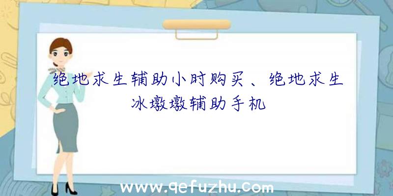 绝地求生辅助小时购买、绝地求生冰墩墩辅助手机