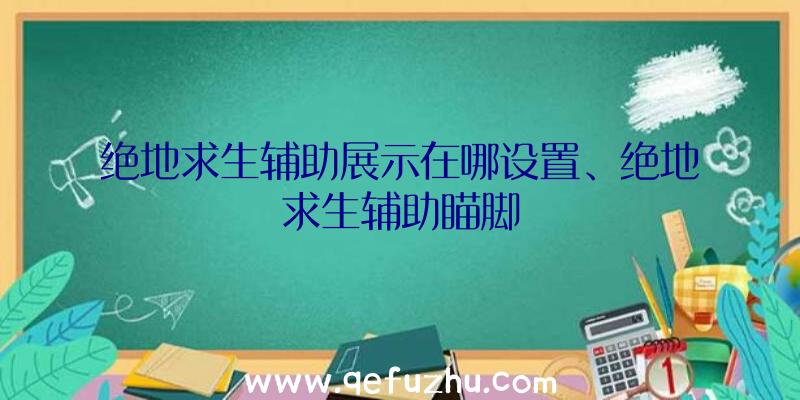 绝地求生辅助展示在哪设置、绝地求生辅助瞄脚