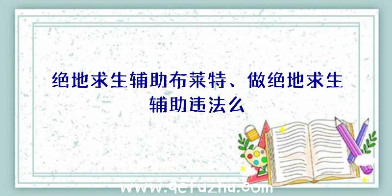 绝地求生辅助布莱特、做绝地求生辅助违法么