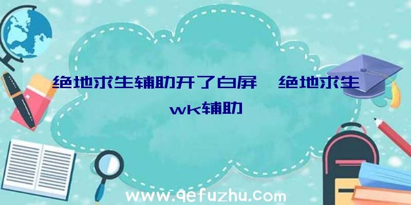 绝地求生辅助开了白屏、绝地求生wk辅助