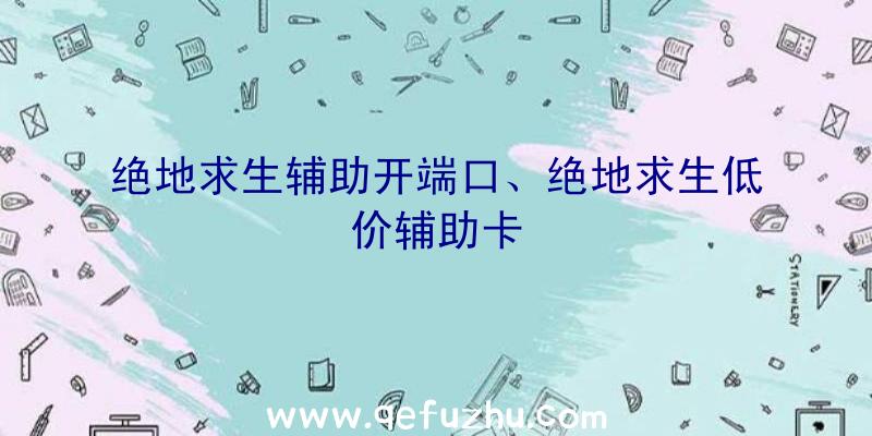 绝地求生辅助开端口、绝地求生低价辅助卡