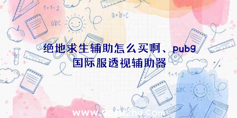 绝地求生辅助怎么买啊、pubg国际服透视辅助器