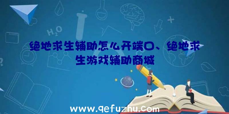 绝地求生辅助怎么开端口、绝地求生游戏辅助商城