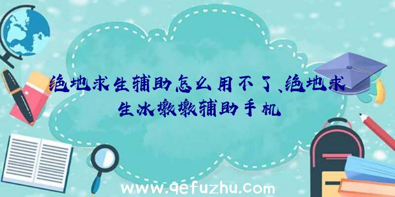 绝地求生辅助怎么用不了、绝地求生冰墩墩辅助手机