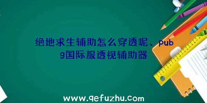 绝地求生辅助怎么穿透呢、pubg国际服透视辅助器