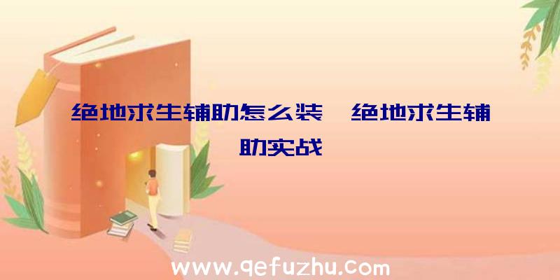 绝地求生辅助怎么装、绝地求生辅助实战