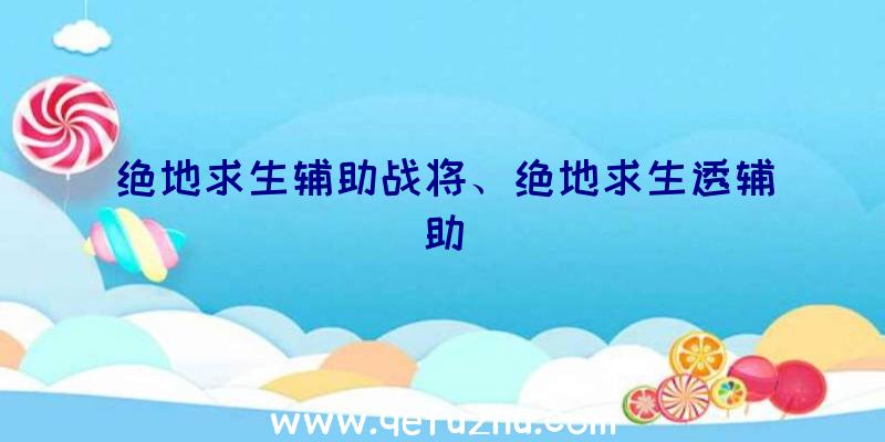 绝地求生辅助战将、绝地求生透辅助