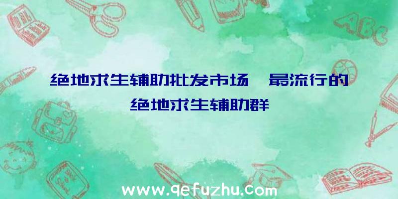 绝地求生辅助批发市场、最流行的绝地求生辅助群