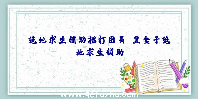 绝地求生辅助招打图员、黑盒子绝地求生辅助