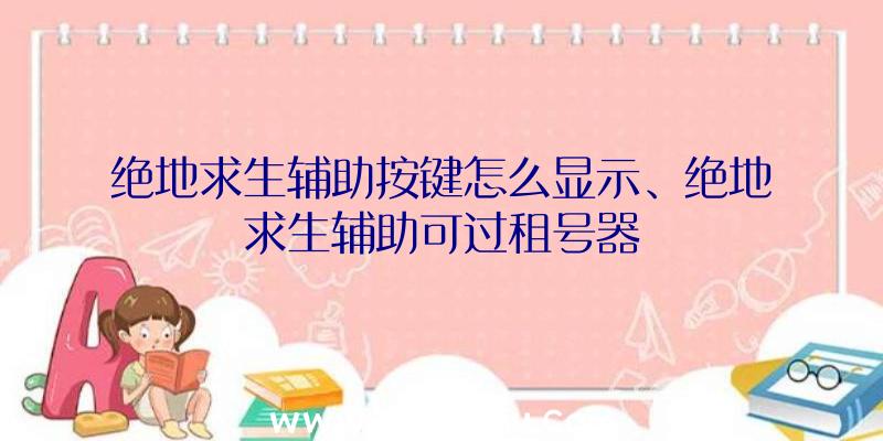 绝地求生辅助按键怎么显示、绝地求生辅助可过租号器