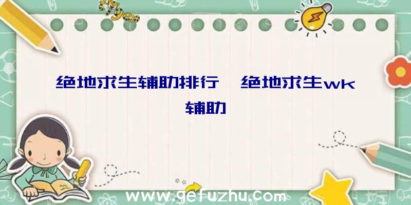 绝地求生辅助排行、绝地求生wk辅助