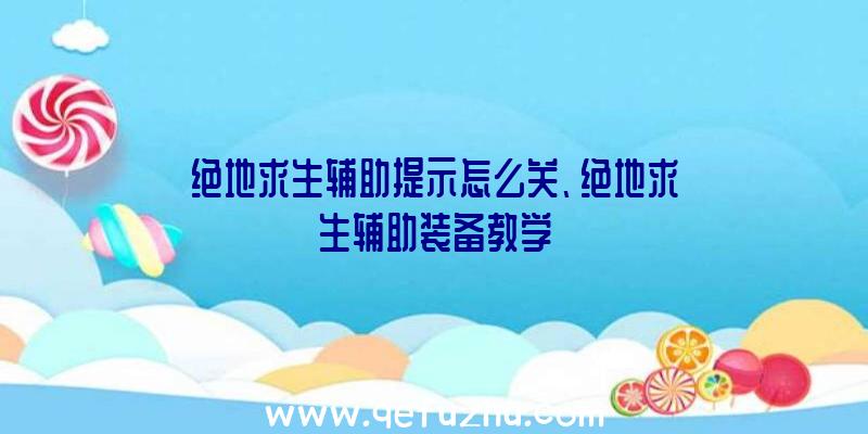 绝地求生辅助提示怎么关、绝地求生辅助装备教学