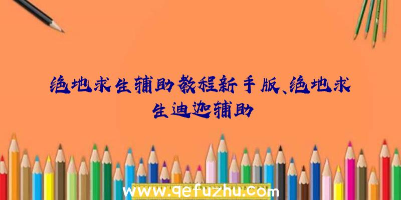 绝地求生辅助教程新手版、绝地求生迪迦辅助
