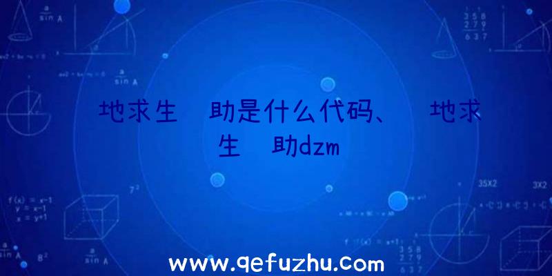 绝地求生辅助是什么代码、绝地求生辅助dzm