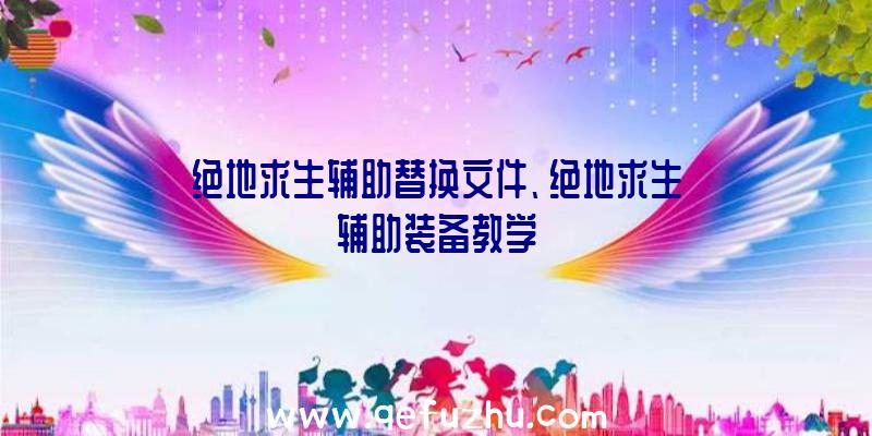 绝地求生辅助替换文件、绝地求生辅助装备教学