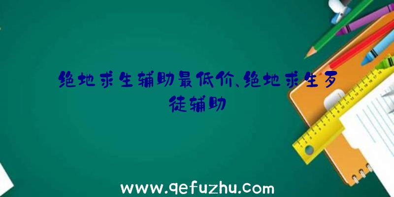 绝地求生辅助最低价、绝地求生歹徒辅助