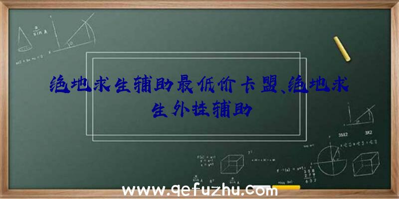 绝地求生辅助最低价卡盟、绝地求生外挂辅助