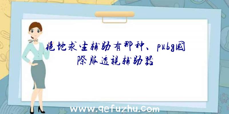 绝地求生辅助有那种、pubg国际服透视辅助器