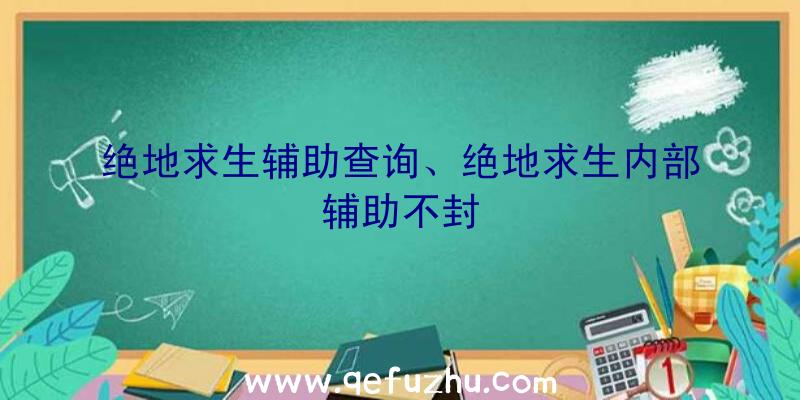 绝地求生辅助查询、绝地求生内部辅助不封