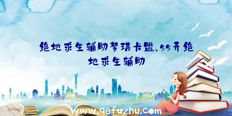 绝地求生辅助梦琪卡盟、55开绝地求生辅助