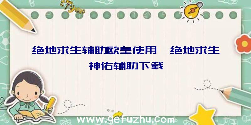 绝地求生辅助欧皇使用、绝地求生神佑辅助下载