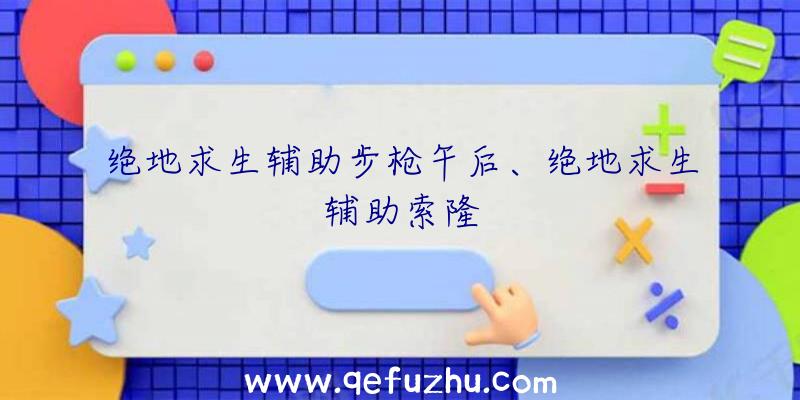 绝地求生辅助步枪午后、绝地求生辅助索隆