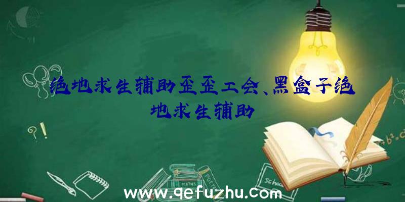 绝地求生辅助歪歪工会、黑盒子绝地求生辅助