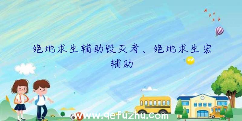 绝地求生辅助毁灭者、绝地求生宏辅助