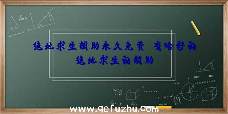 绝地求生辅助永久免费、有啥好的绝地求生的辅助