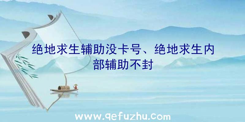 绝地求生辅助没卡号、绝地求生内部辅助不封