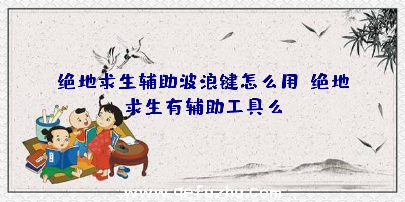 绝地求生辅助波浪键怎么用、绝地求生有辅助工具么