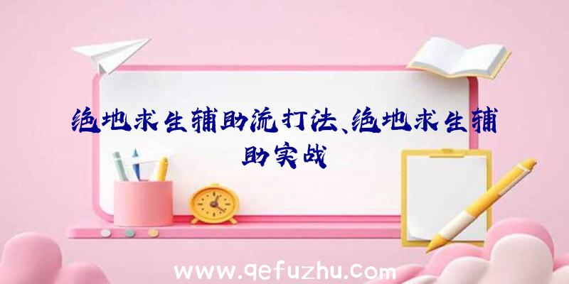 绝地求生辅助流打法、绝地求生辅助实战