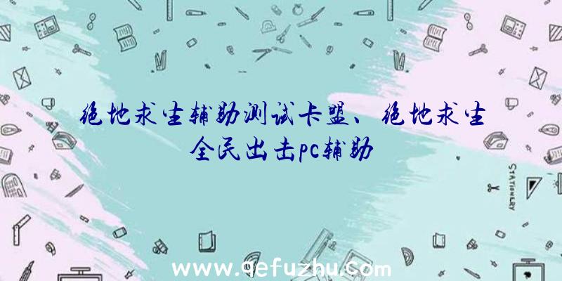 绝地求生辅助测试卡盟、绝地求生全民出击pc辅助