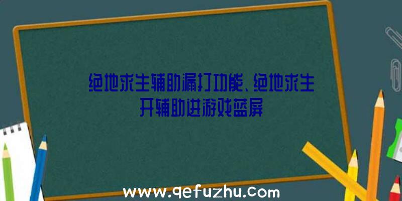 绝地求生辅助漏打功能、绝地求生开辅助进游戏蓝屏