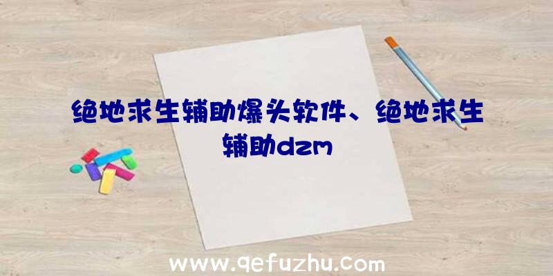 绝地求生辅助爆头软件、绝地求生辅助dzm