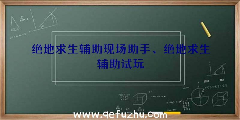 绝地求生辅助现场助手、绝地求生辅助试玩