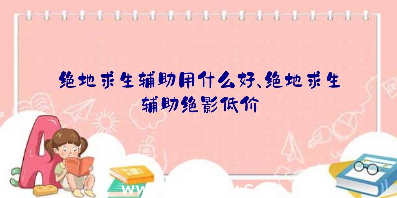 绝地求生辅助用什么好、绝地求生辅助绝影低价