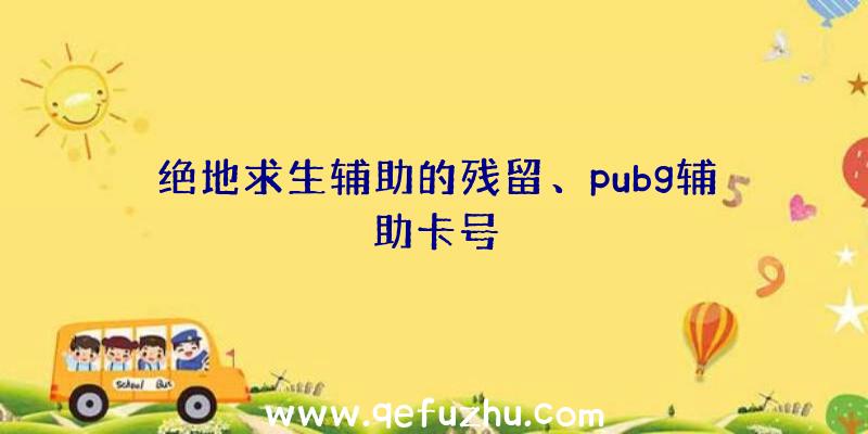 绝地求生辅助的残留、pubg辅助卡号